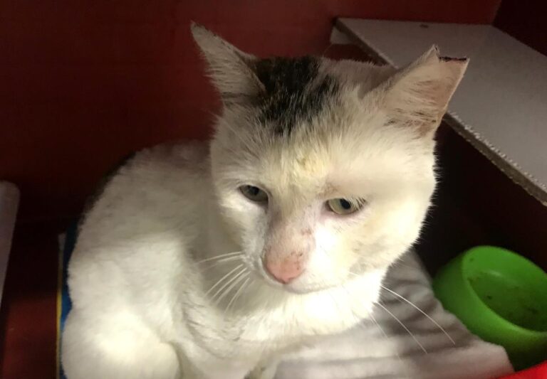 multimedia-foto69562-351-1