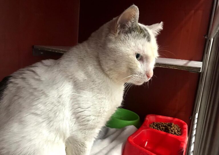 multimedia-foto69563-352-1