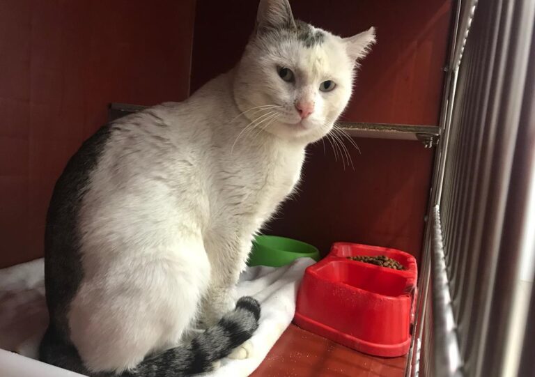 multimedia-foto69564-352-1