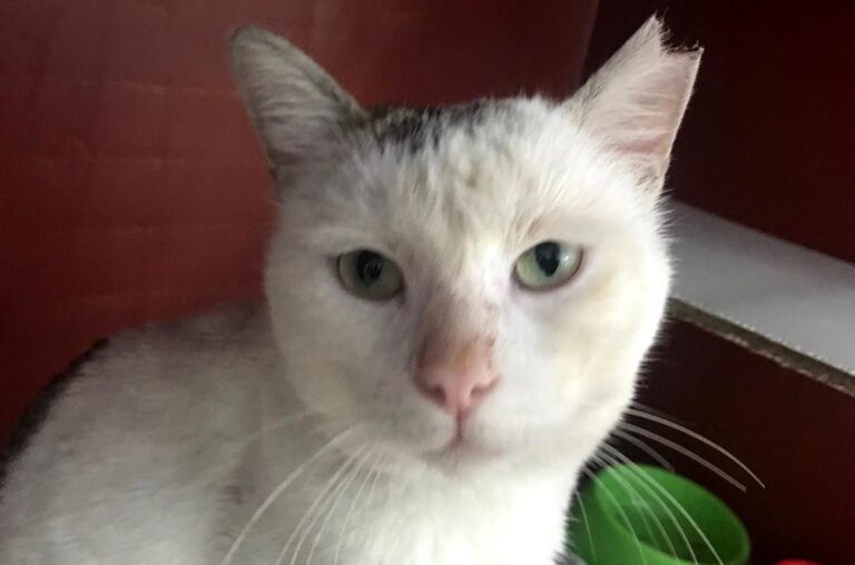 multimedia-foto69565-353-1