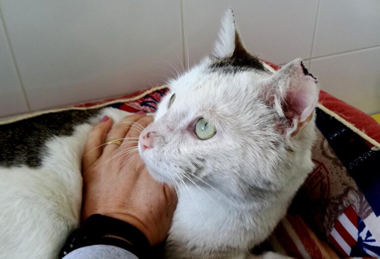 multimedia-foto69566-353-1