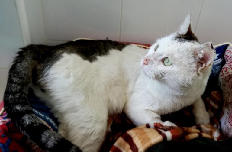 multimedia-foto69567-354-1