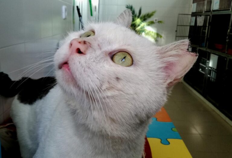 multimedia-foto69568-355-1