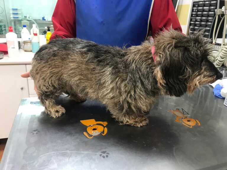 multimedia-foto69578-696-1