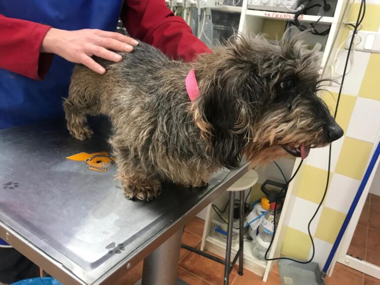 multimedia-foto69579-697-1