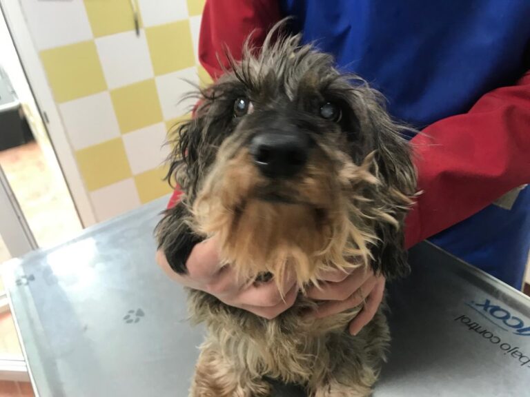 multimedia-foto69580-697-1