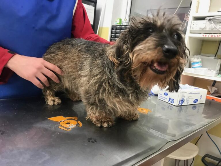 multimedia-foto69581-698-1