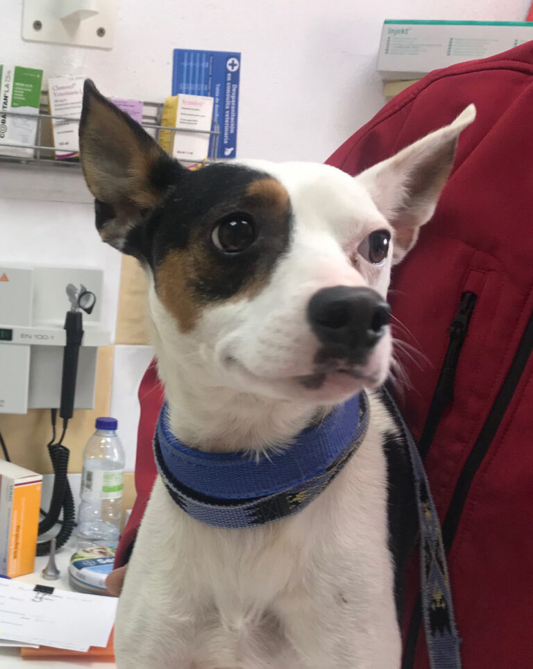 multimedia-foto69583-389-1