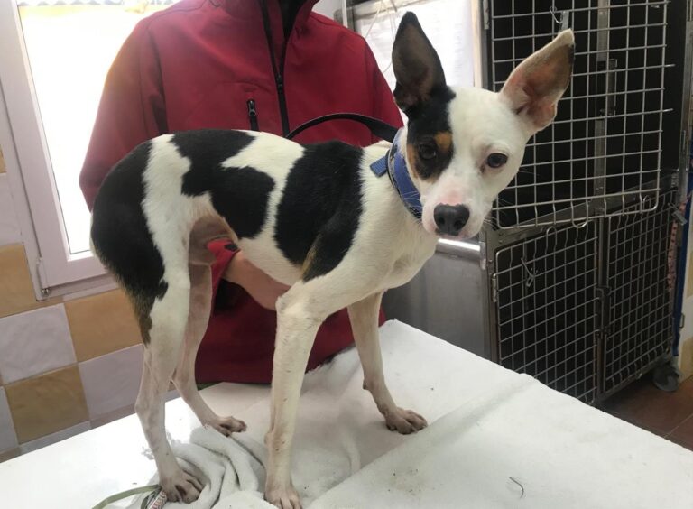 multimedia-foto69585-390-1