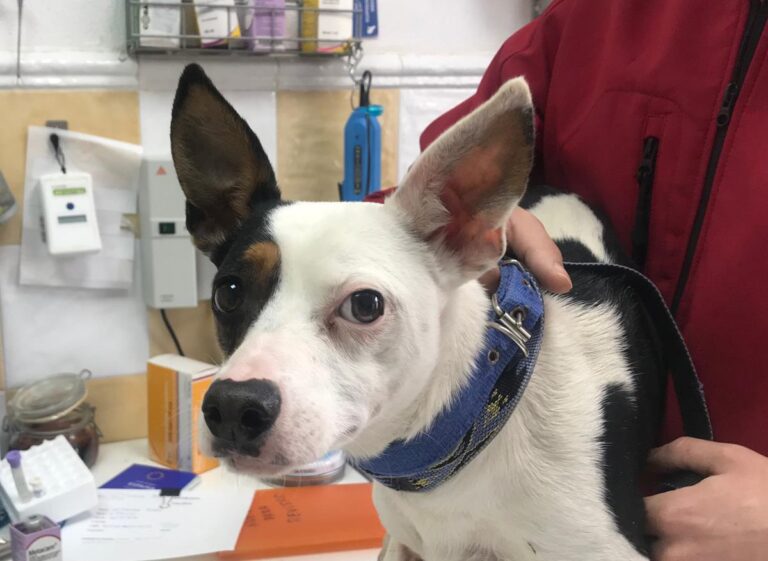 multimedia-foto69587-391-1