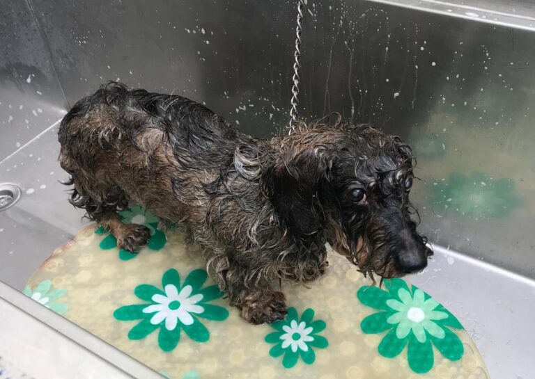 multimedia-foto69588-354-1