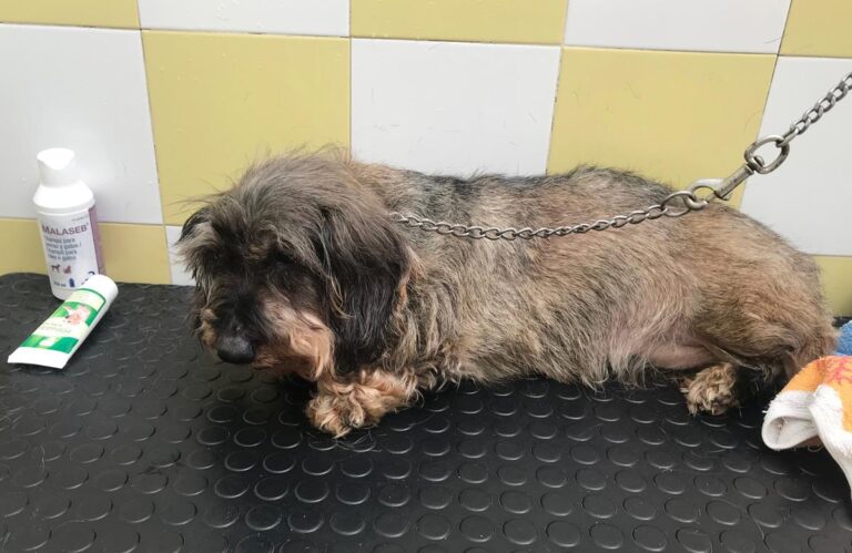 multimedia-foto69589-354-1