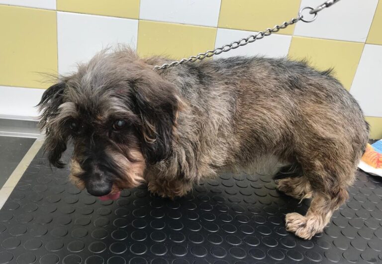 multimedia-foto69590-355-1