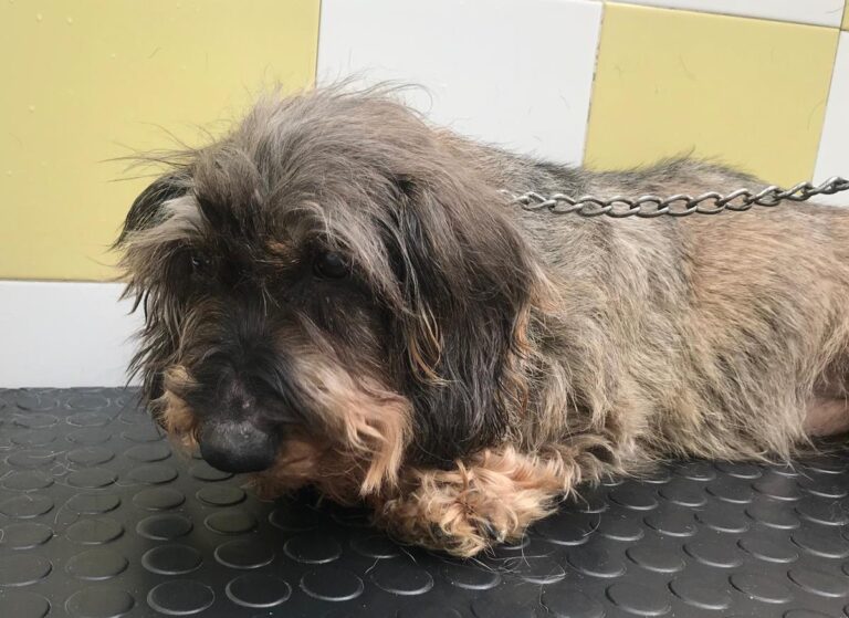 multimedia-foto69591-356-1