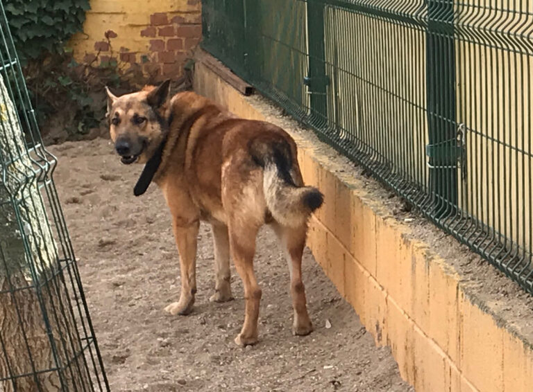 multimedia-foto69593-420-1