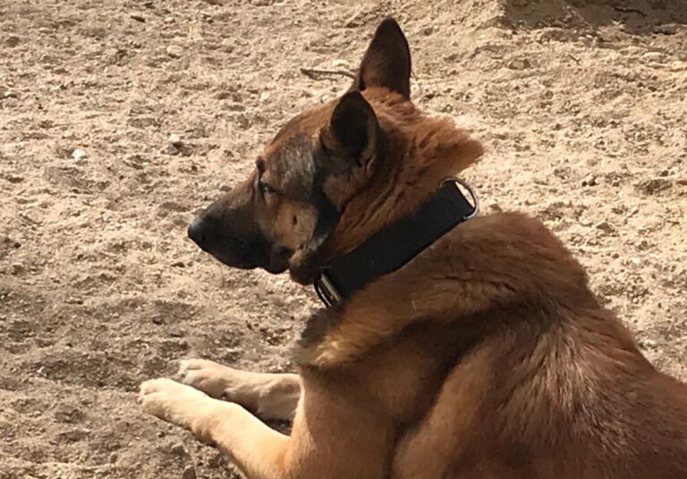 multimedia-foto69594-421-1