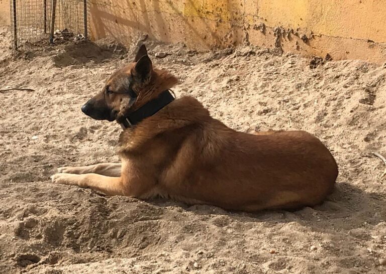 multimedia-foto69595-422-1