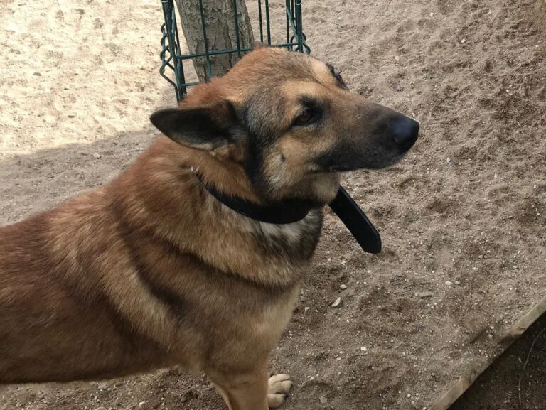 multimedia-foto69596-422-1