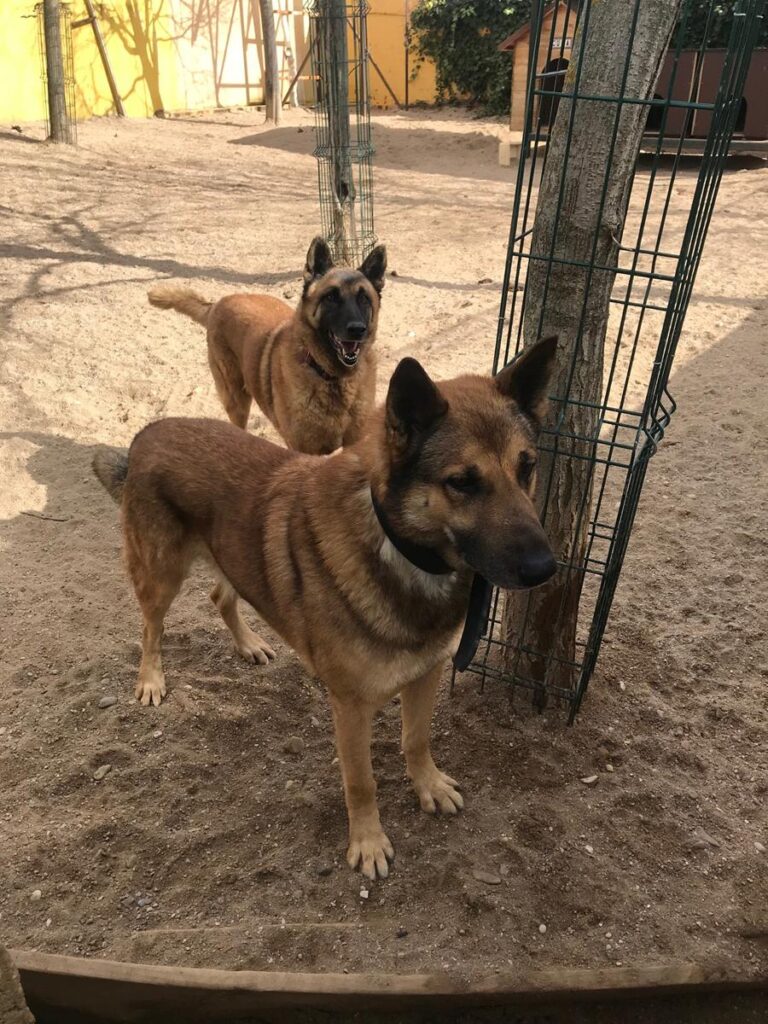 multimedia-foto69597-475-1