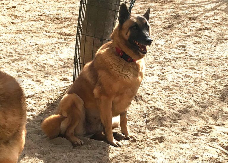 multimedia-foto69598-476-1