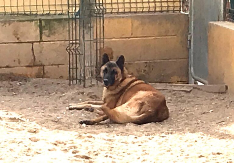 multimedia-foto69599-476-1