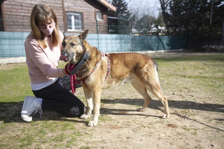 multimedia-foto69690-845-1