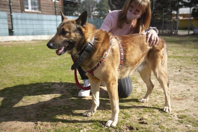 multimedia-foto69691-846-1