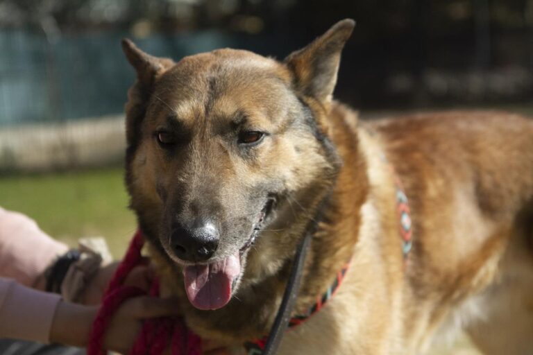 multimedia-foto69692-847-1