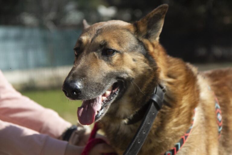 multimedia-foto69693-847-1