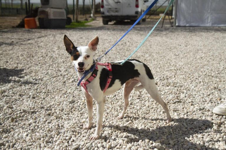 multimedia-foto69697-480-1