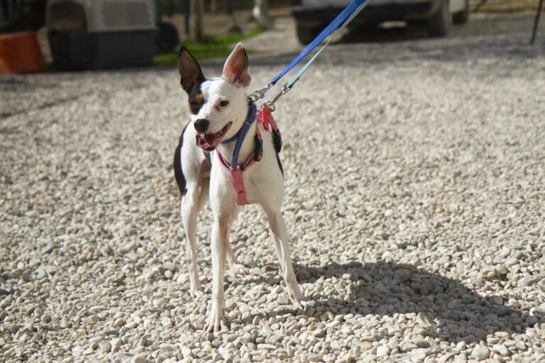 multimedia-foto69698-481-1