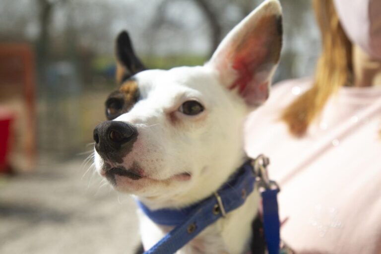 multimedia-foto69699-482-1