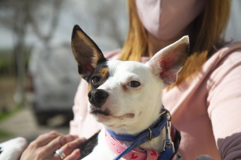 multimedia-foto69700-482-1