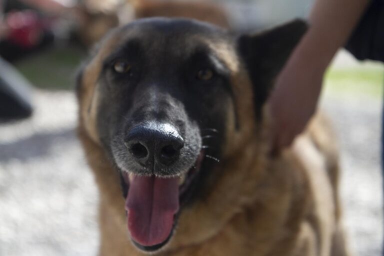 multimedia-foto69701-543-1