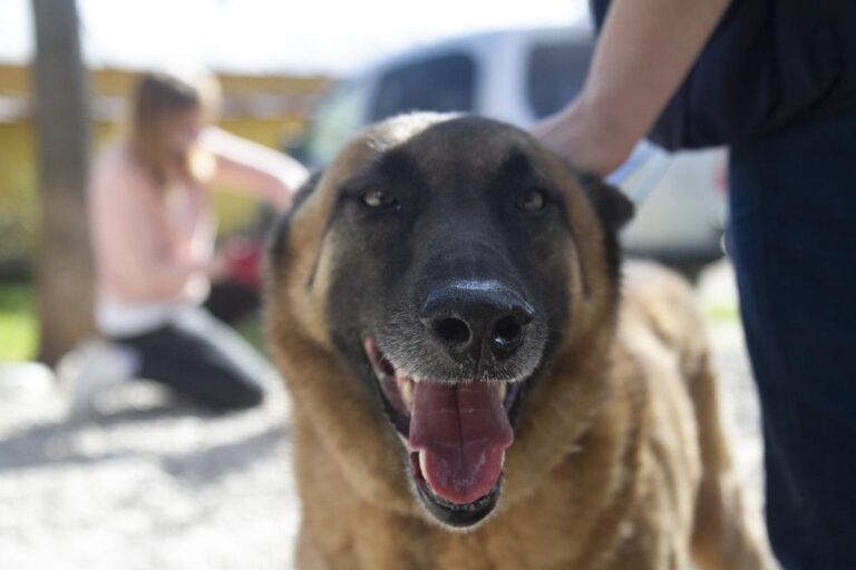 multimedia-foto69702-544-1