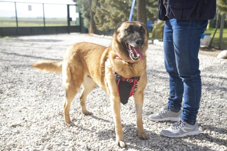 multimedia-foto69703-545-1