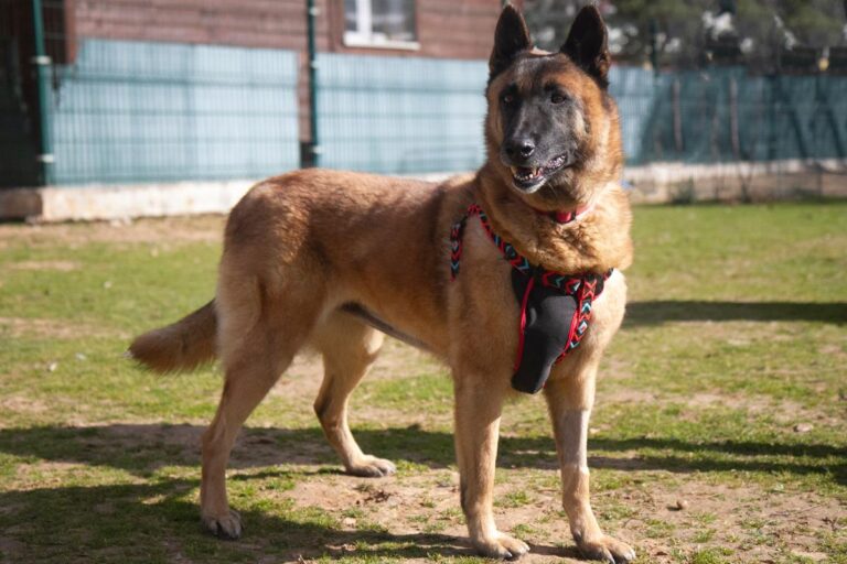 multimedia-foto69704-545-1