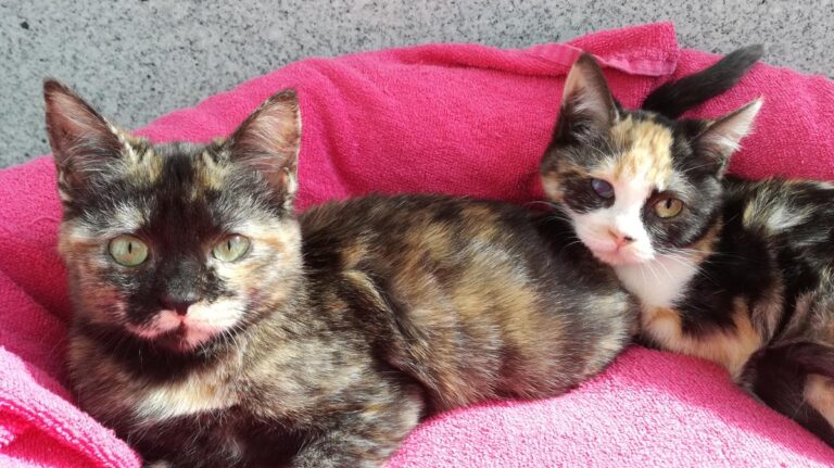 multimedia-foto69735-326-1