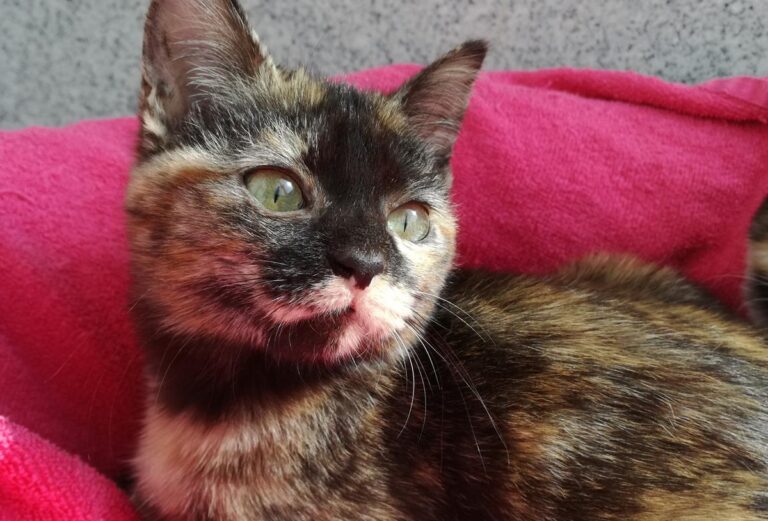 multimedia-foto69736-327-1