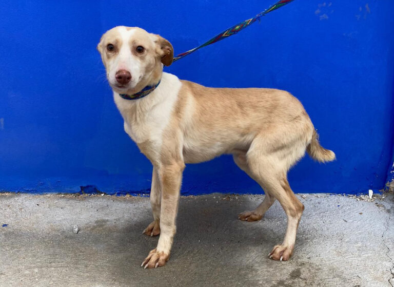 multimedia-foto69802-675-1