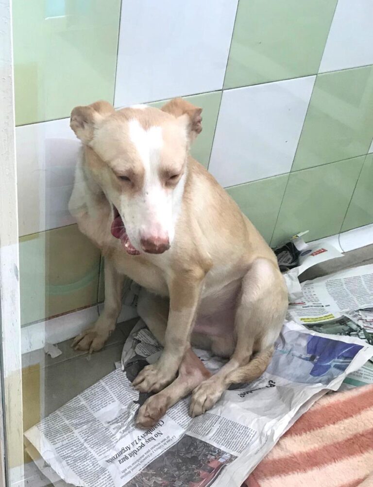 multimedia-foto69803-676-1