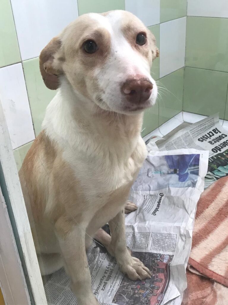 multimedia-foto69804-676-1