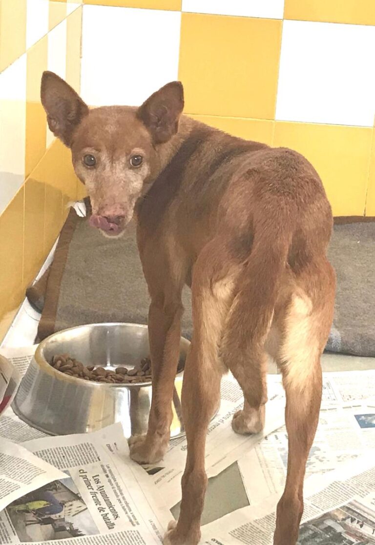 multimedia-foto69808-731-1