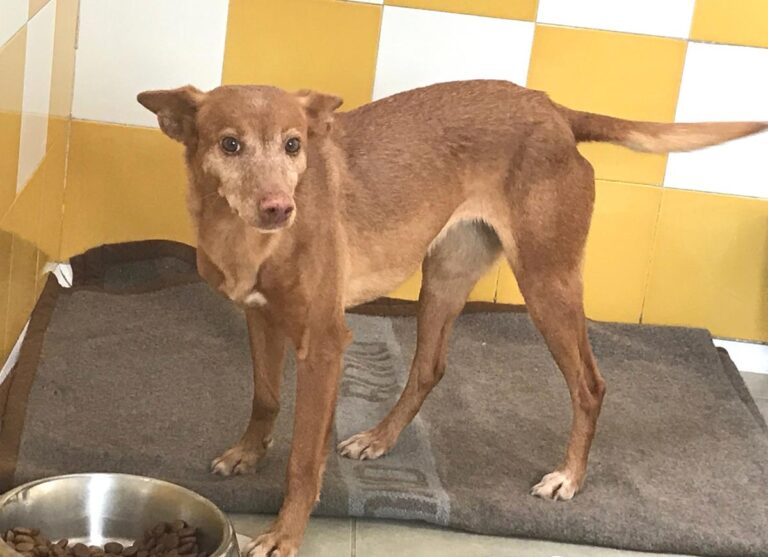 multimedia-foto69809-732-1