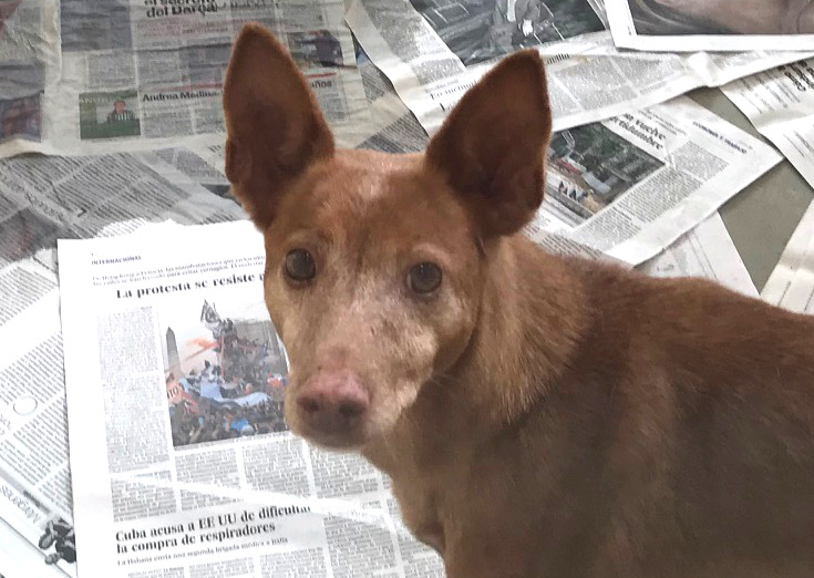 multimedia-foto69810-732-1