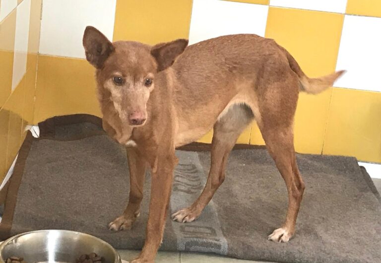 multimedia-foto69811-733-1