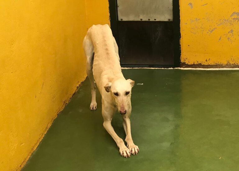 multimedia-foto69882-563-1