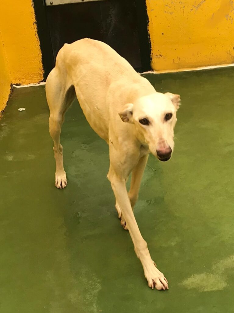 multimedia-foto69883-563-1