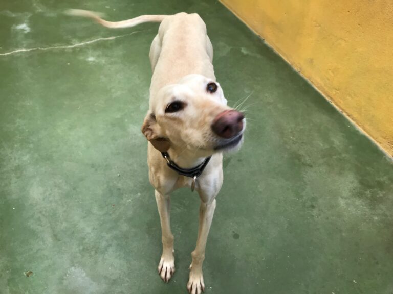 multimedia-foto69884-564-1