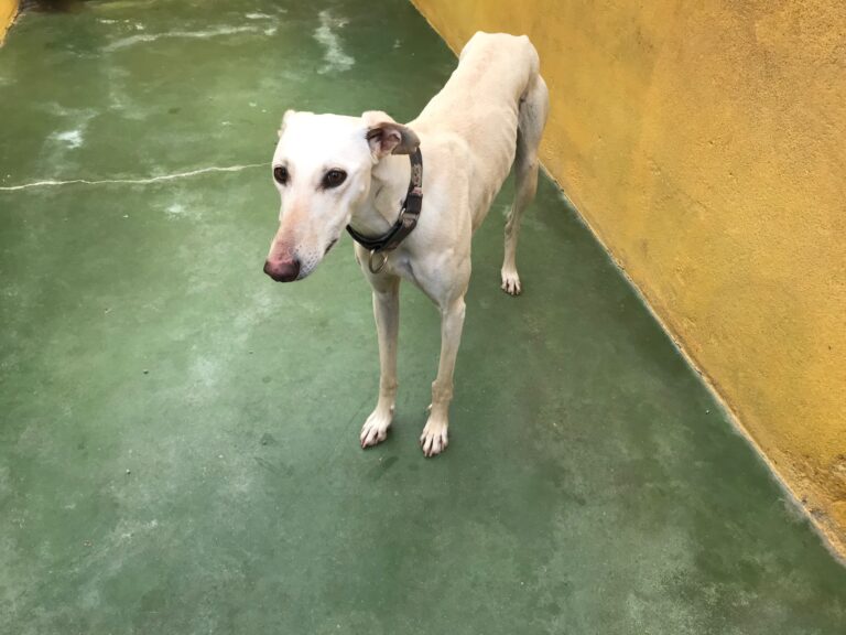 multimedia-foto69885-565-1